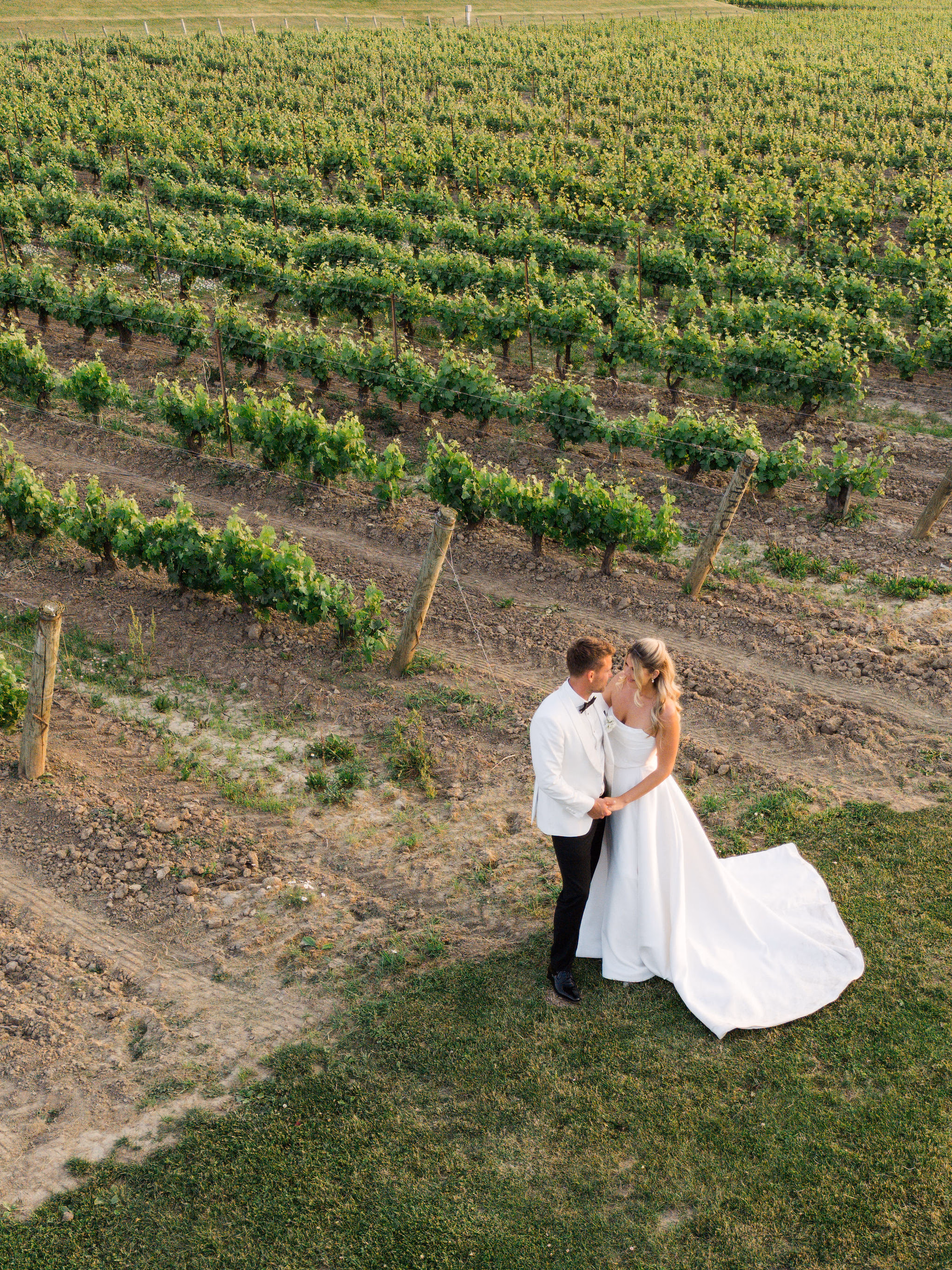 aerial wedding photo in the vineyard rows at Chateau des Charmes in Niagara-on-the-Lake