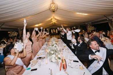 Guests cheering during reception speeches at Chateau des Charmes wedding