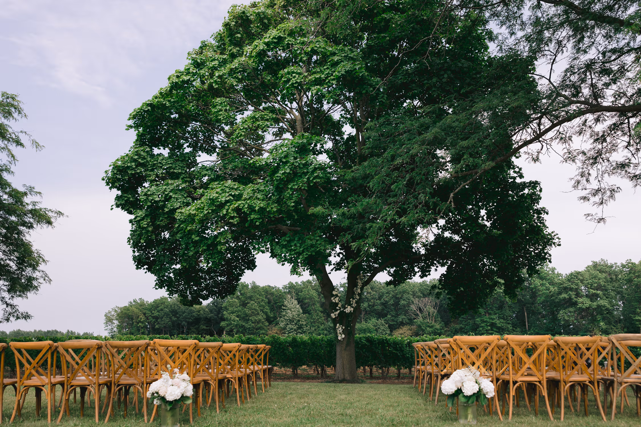 Trius Winery wedding photography | Astora Studio